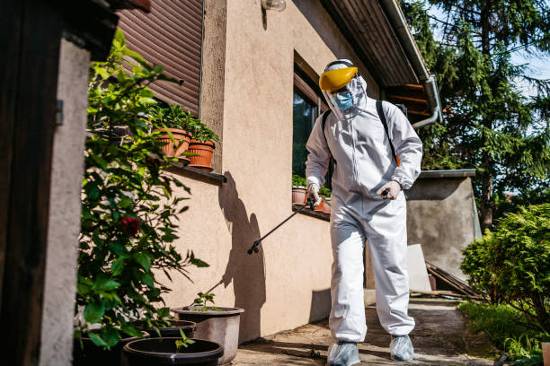 Best Commercial Pest Control Services  in Lepanto, AR