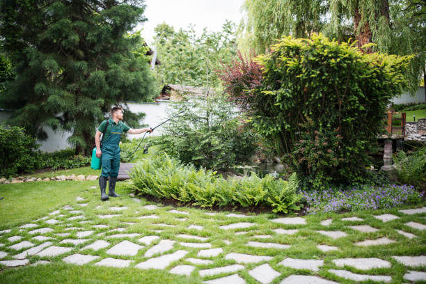 Best Pest Removal Services  in Lepanto, AR