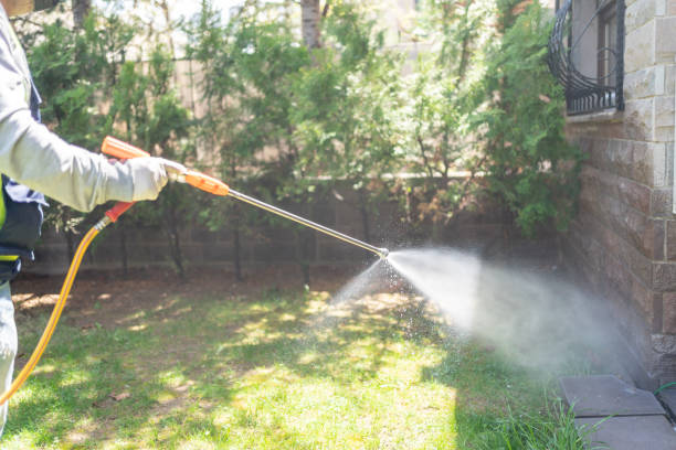 Professional Pest Control in Lepanto, AR